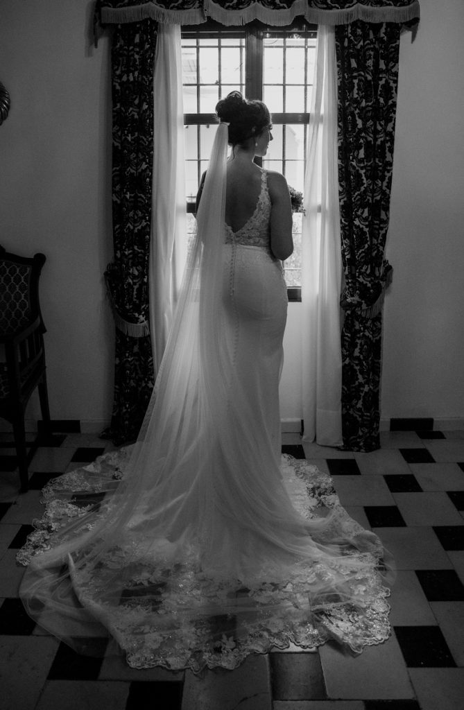 bride wedding dress